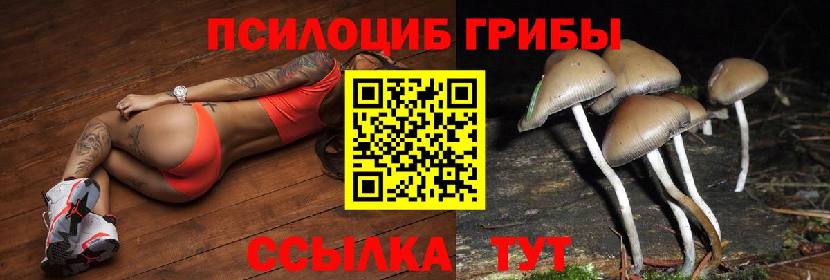 Белгород  Псилоцибиновые грибы Cubensis  Галлюциногенные грибы мицелий  Вход с VPN 