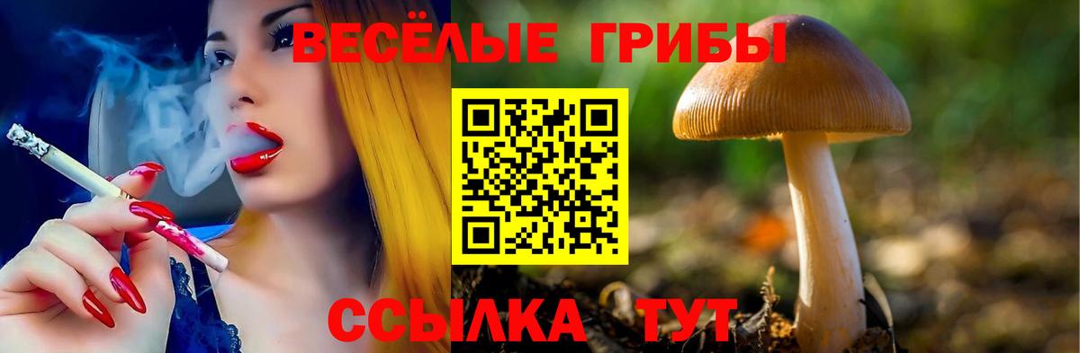 Псилоцибиновые грибы Cubensis Белгород